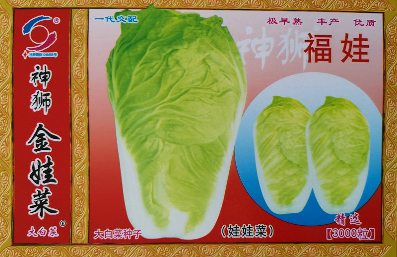 福娃——娃娃菜 福娃——娃娃菜